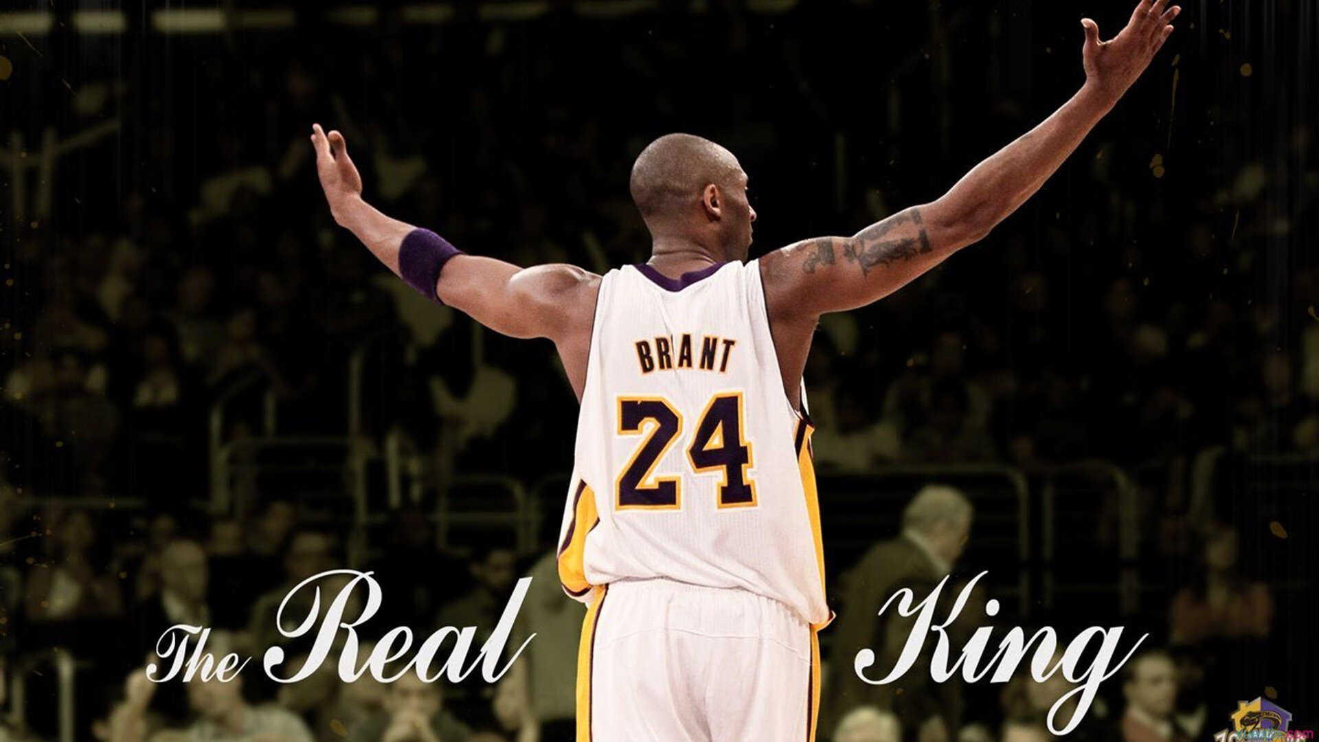 _湖人队斗志昂扬，延续胜利势头_，湖人队v