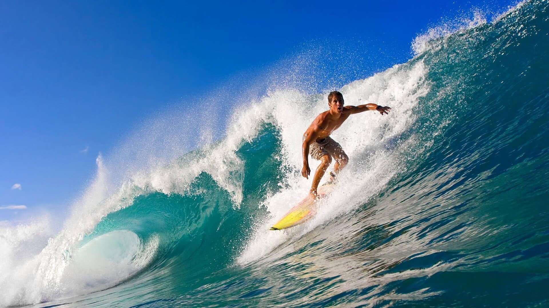 “篮球文化全球巡礼：从纽约到北京的篮球传奇”，纽约篮球氛围